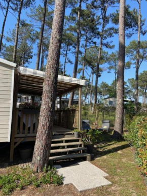 Charmant Mobilhome avec espace vert au milieu des pins proche de la plage sur le camping 
